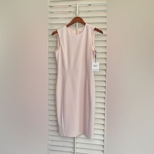 Calvin Klein Pink Sheath Dress Sz 6 NWT